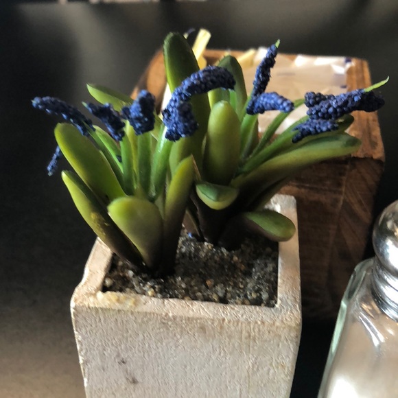 Meet your Posher, Rigoberto - Picture 1 of 1